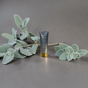 DincherBel Cooling Sage Fragrance Lotion 236 ml Moisturizing Body Care